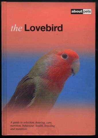 About Pets: The Lovebird